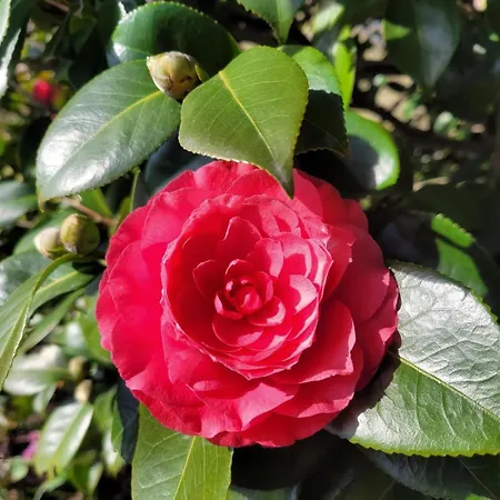 Uferhaus Luccio Holiday home *