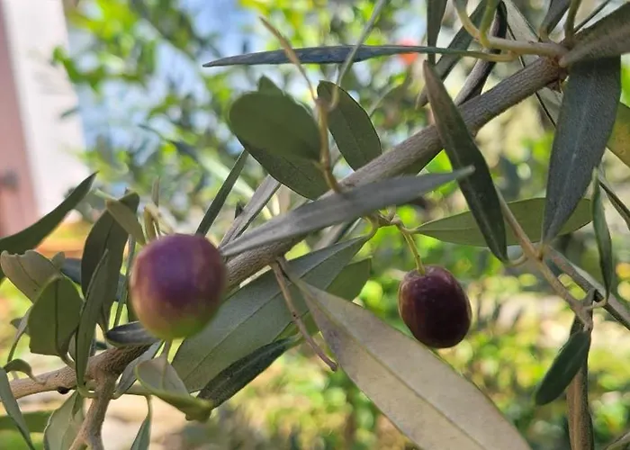 Uferhaus Luccio Dom wakacyjny