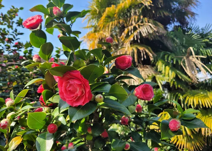 Uferhaus Luccio 펜션 Minusio