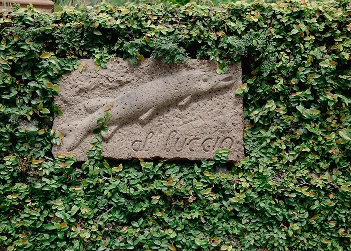 Uferhaus Luccio Dom wakacyjny