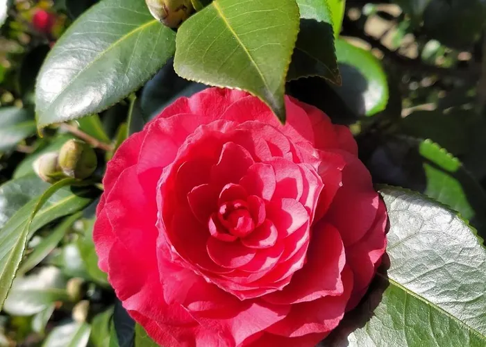 Uferhaus Luccio Dom wakacyjny *