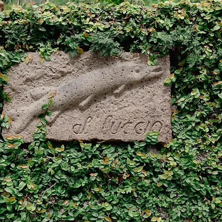 Uferhaus Luccio Casa vacanze
